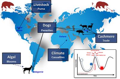 Disassembled Food Webs and Messy Projections: Modern Ungulate Communities in the Face of Unabating <mark class="highlighted">Human Population Growth</mark>